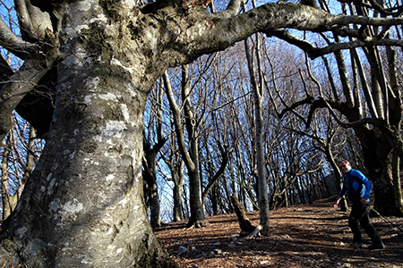 MONTE TESORO ad anello da Carenno il 24 gennaio 2018 - FOTOGALLERY